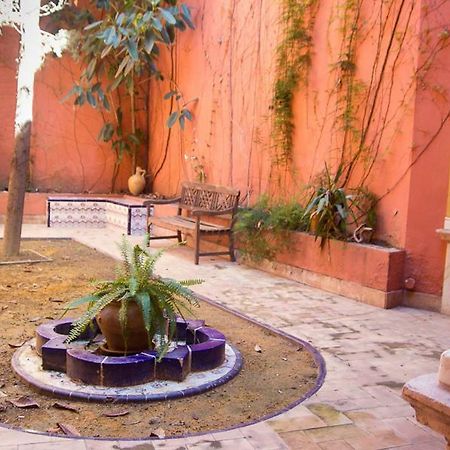 Estudio Plaza Salvador Sevilla Exterior foto